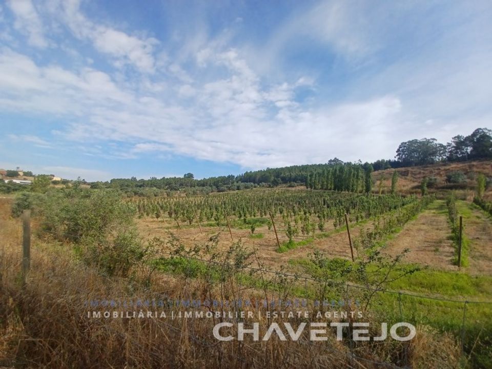Farm i Serra, Santarem - foto 2