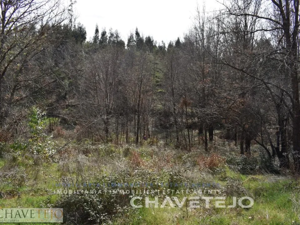 Tomt i Pedrogao Grande, Leiria - bilde 3