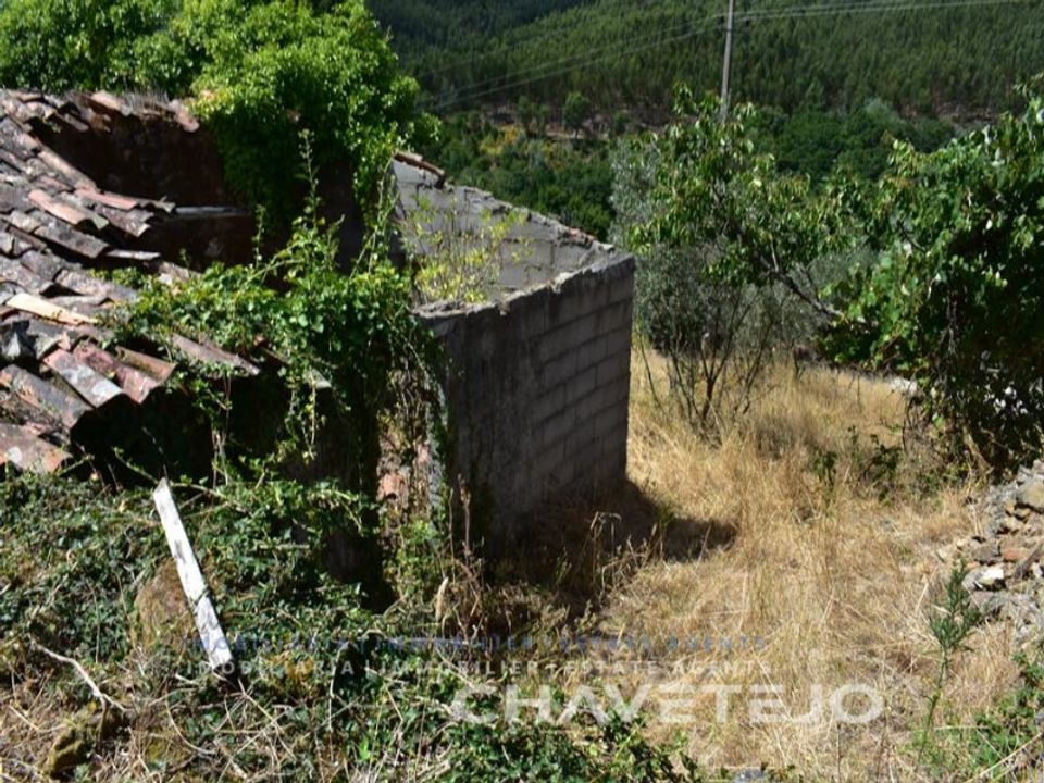 Tomt i Figueiro dos Vinhos, Leiria - bilde 1