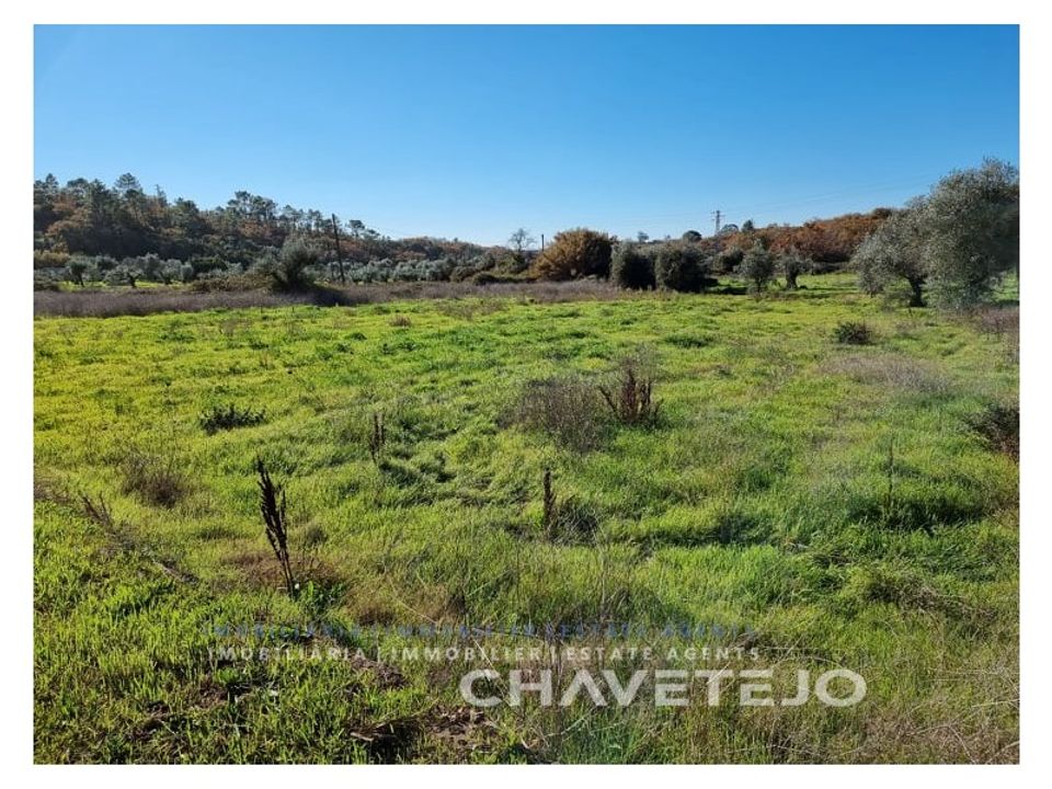 Terreno en Ferreira do Zezere, Santarem - foto 4