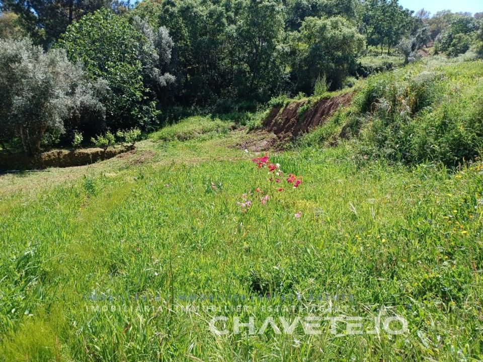 Helårsgrund i Serra, Santarem - foto 2