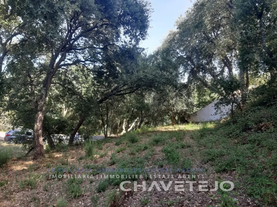 Helårsgrund i Serra, Santarem - foto 2