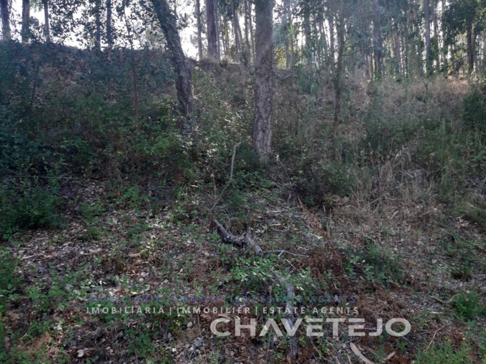 Helårsgrund i Serra, Santarem - foto 5