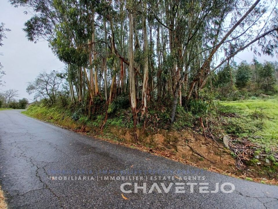 Terreno en Ferreira do Zezere, Santarem - foto 2