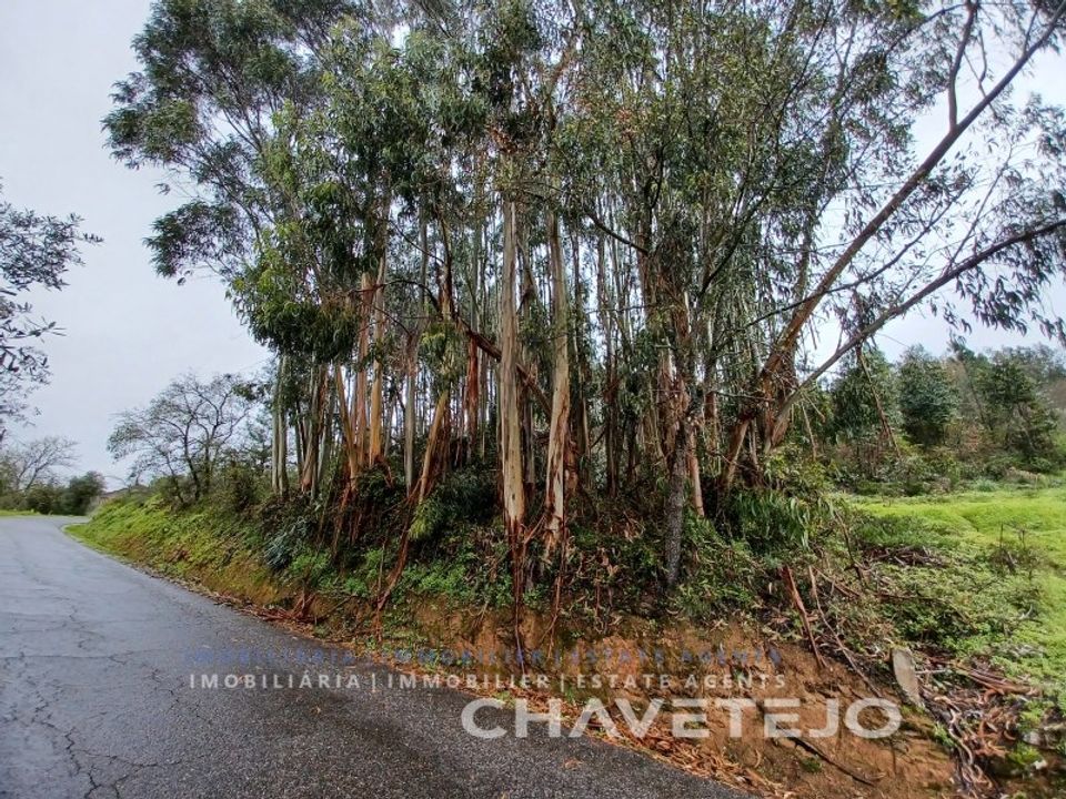 Terreno en Ferreira do Zezere, Santarem - foto 3