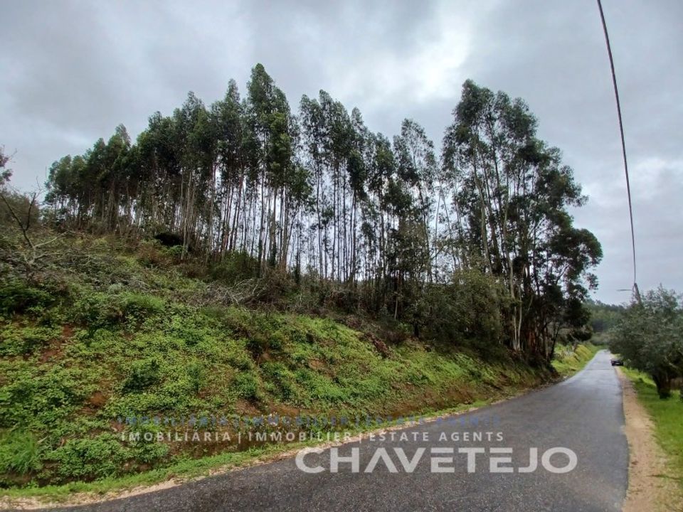 Terreno en Ferreira do Zezere, Santarem - foto 4