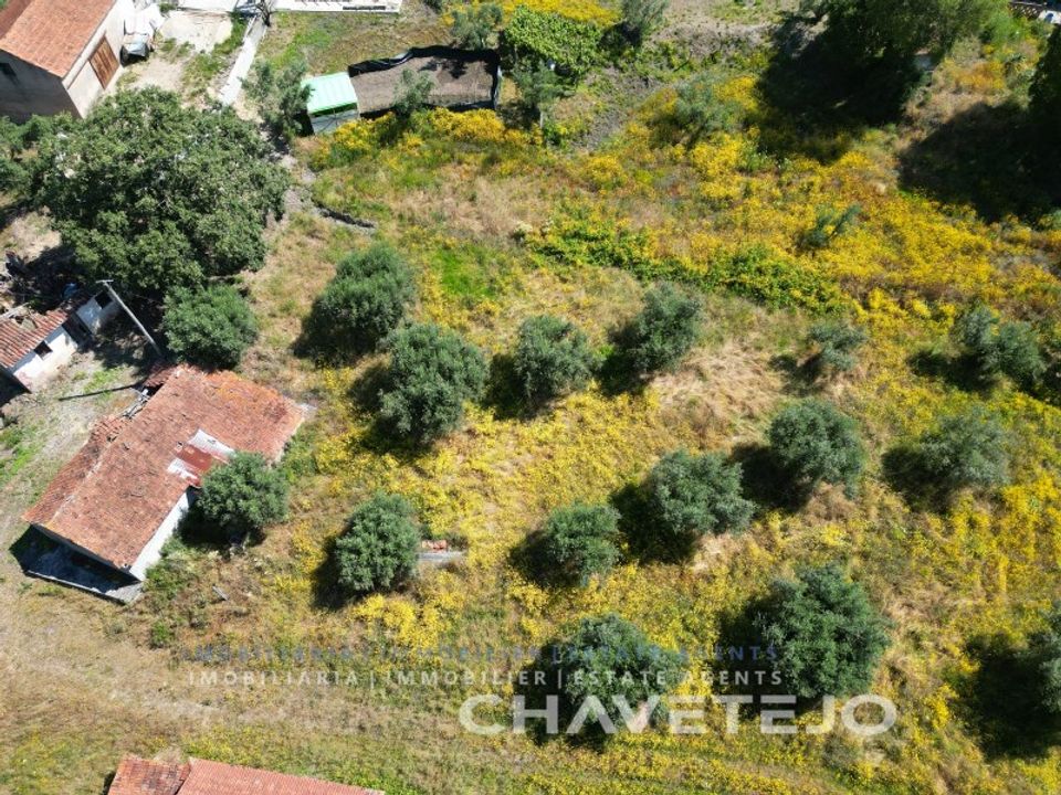 Terreno en Ourem, Santarem - foto 3