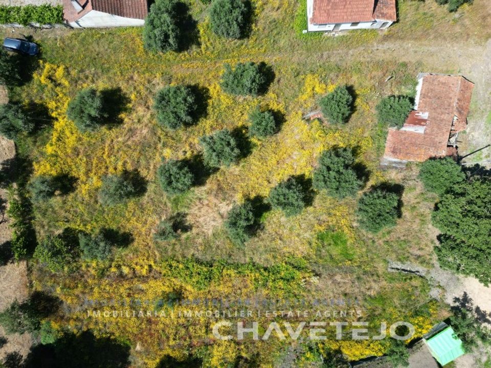 Terreno en Ourem, Santarem - foto 5