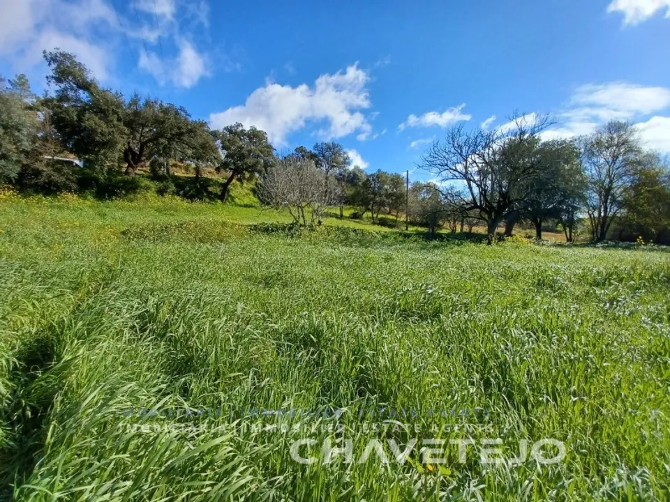 Helårsgrund i Tomar, Santarem - foto 2