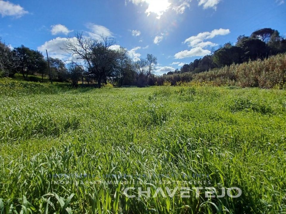 Helårsgrund i Tomar, Santarem - foto 5