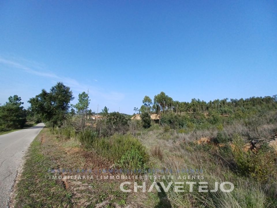 Helårsgrund i Asseiceira, Santarem - foto 4