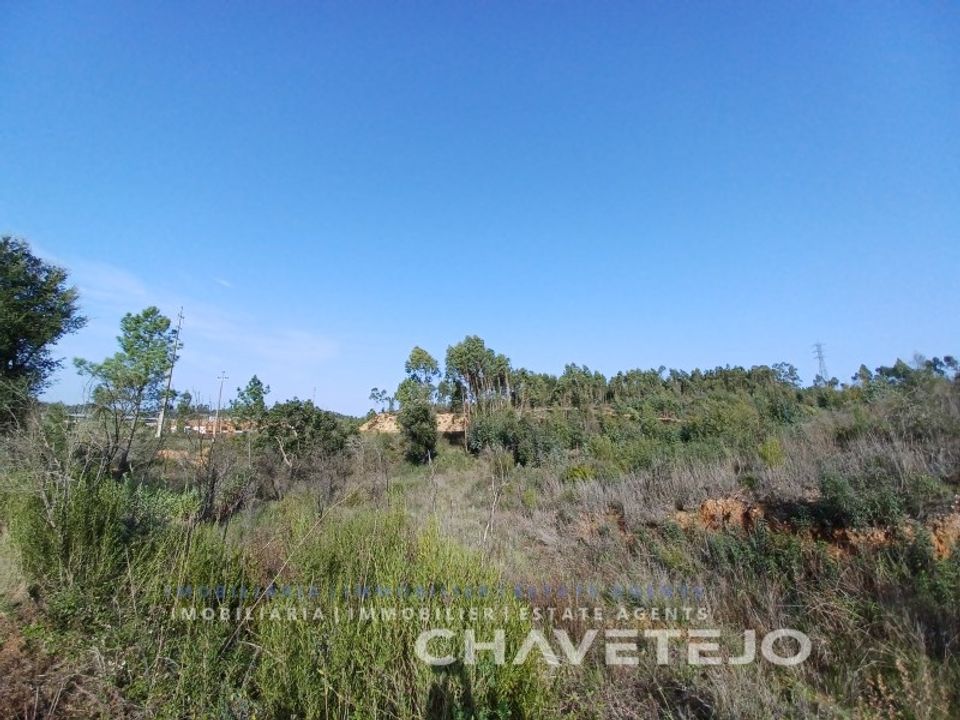 Helårsgrund i Asseiceira, Santarem - foto 5