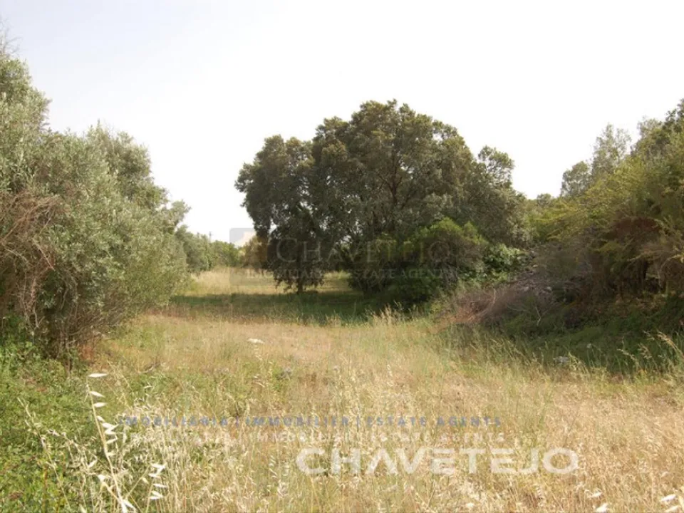 Terreno en Ferreira do Zezere, Santarem - foto 1