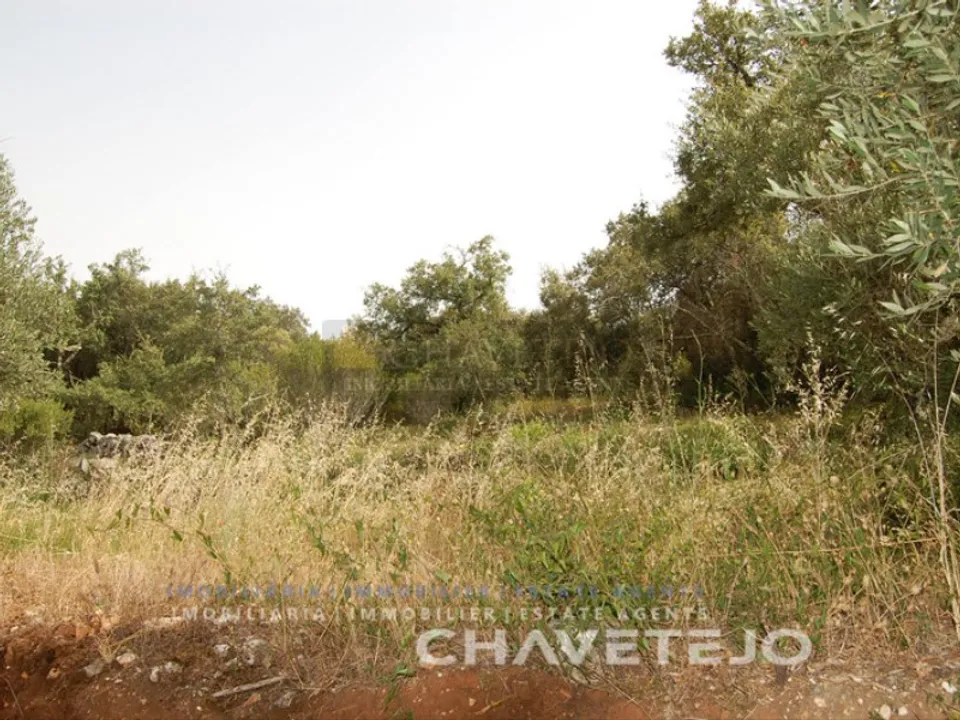 Terreno en Ferreira do Zezere, Santarem - foto 2