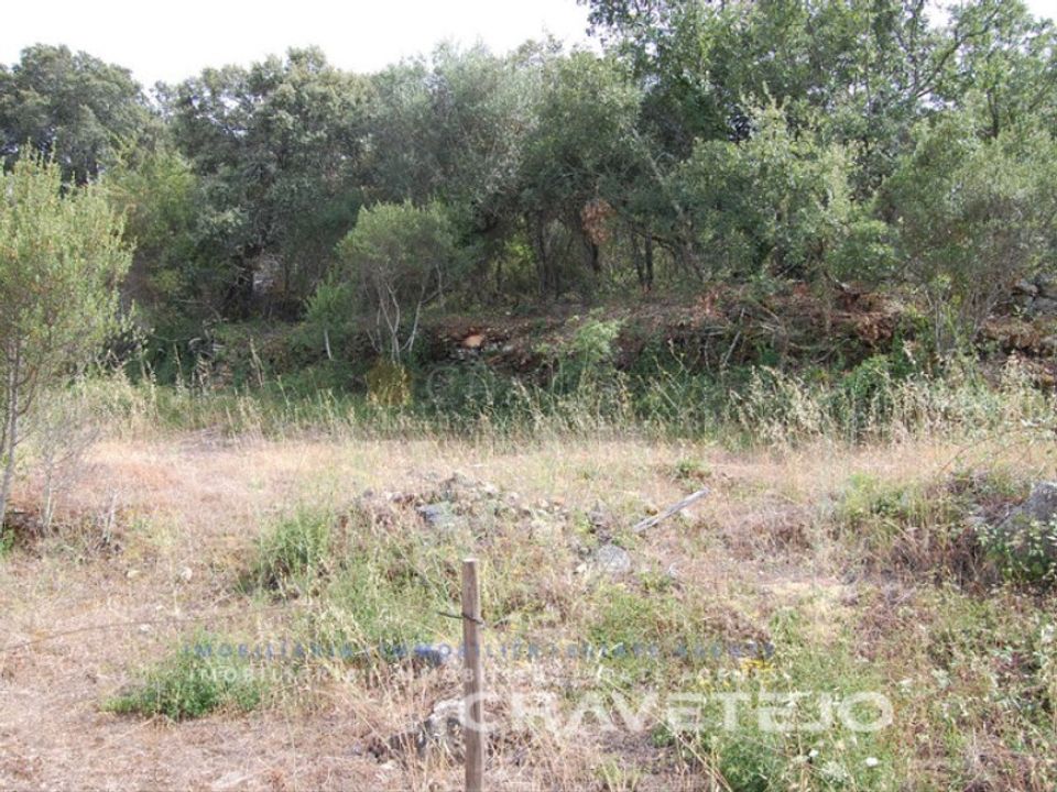 Terreno en Ferreira do Zezere, Santarem - foto 4