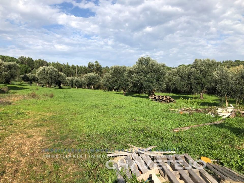 Helårsgrund i Asseiceira, Santarem - foto 5