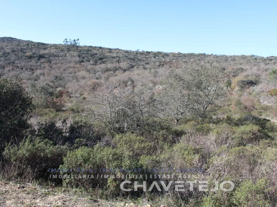Terreno en Ferreira do Zezere, Santarem - foto 1