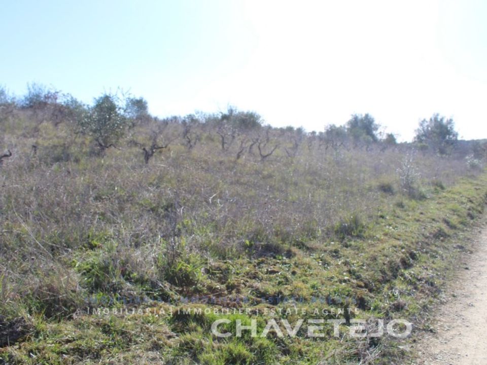 Terreno en Ferreira do Zezere, Santarem - foto 4