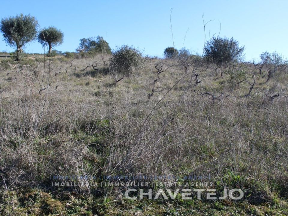 Terreno en Ferreira do Zezere, Santarem - foto 5