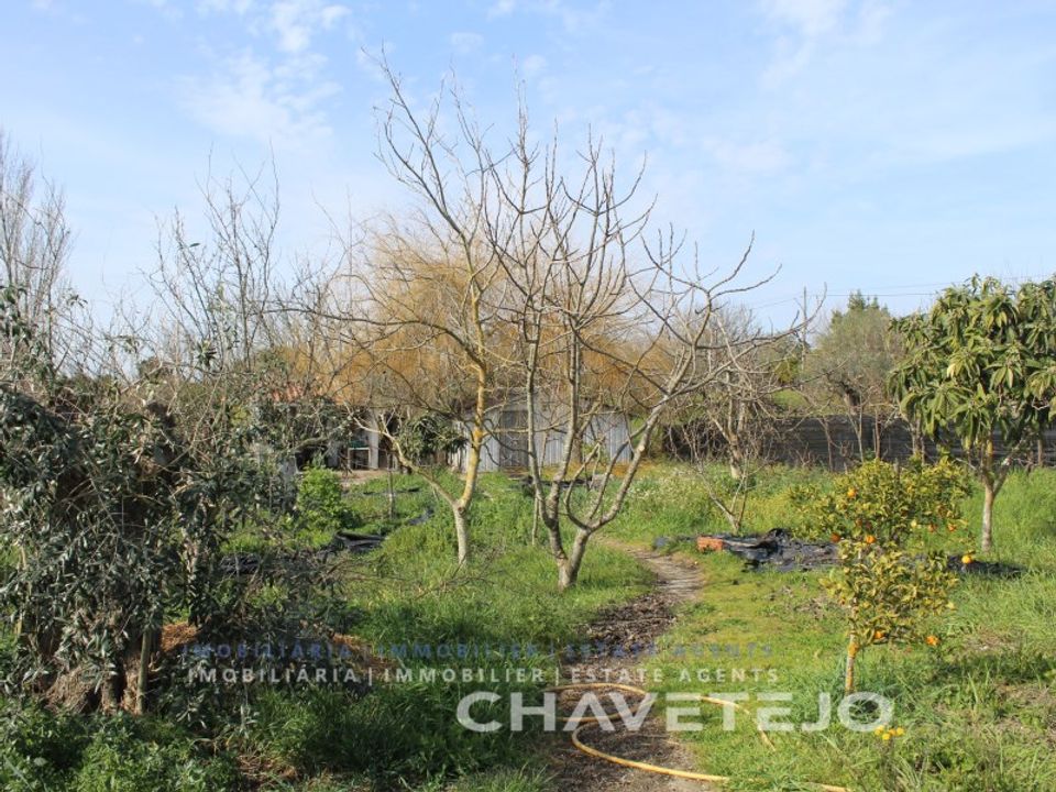 Grond in Tomar, Santarem - foto 3