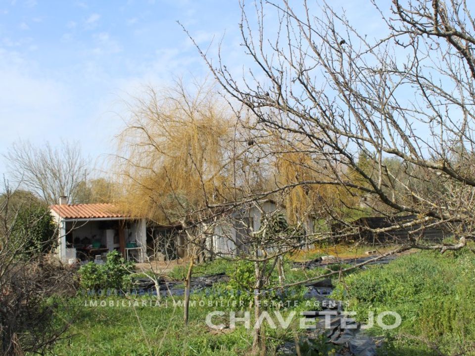 Grond in Tomar, Santarem - foto 4