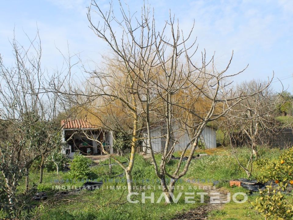 Grond in Tomar, Santarem - foto 5