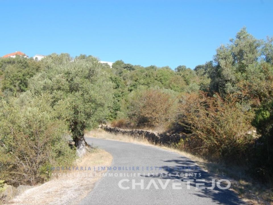 Tomt i Tomar, Santarem - bilde 1