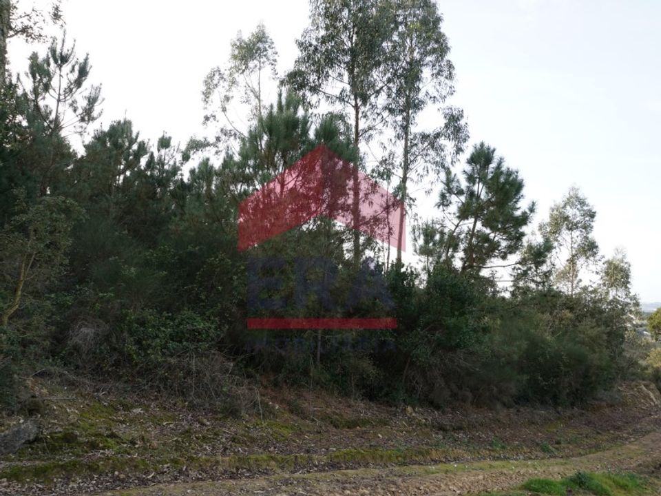 Terra a Bombarral, Leiria - foto 2