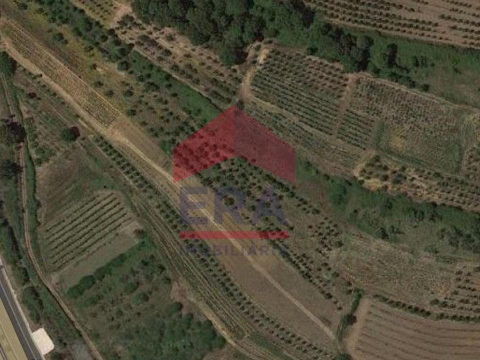 Terra a Bombarral, Leiria - foto 1