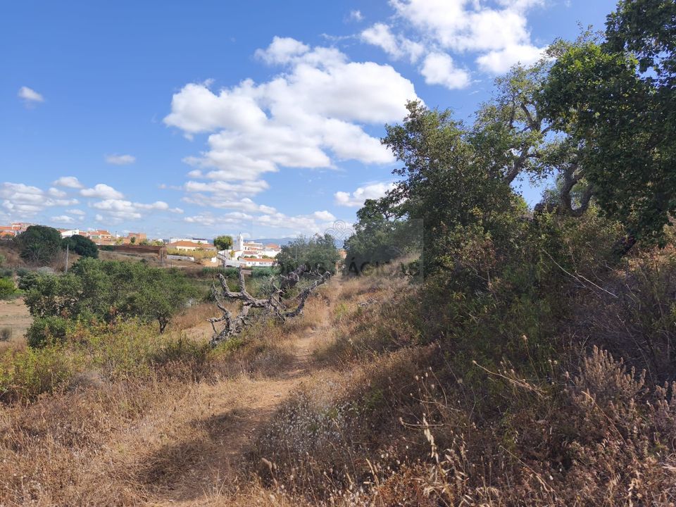 Helårsgrund i Lagos, Faro - foto 3