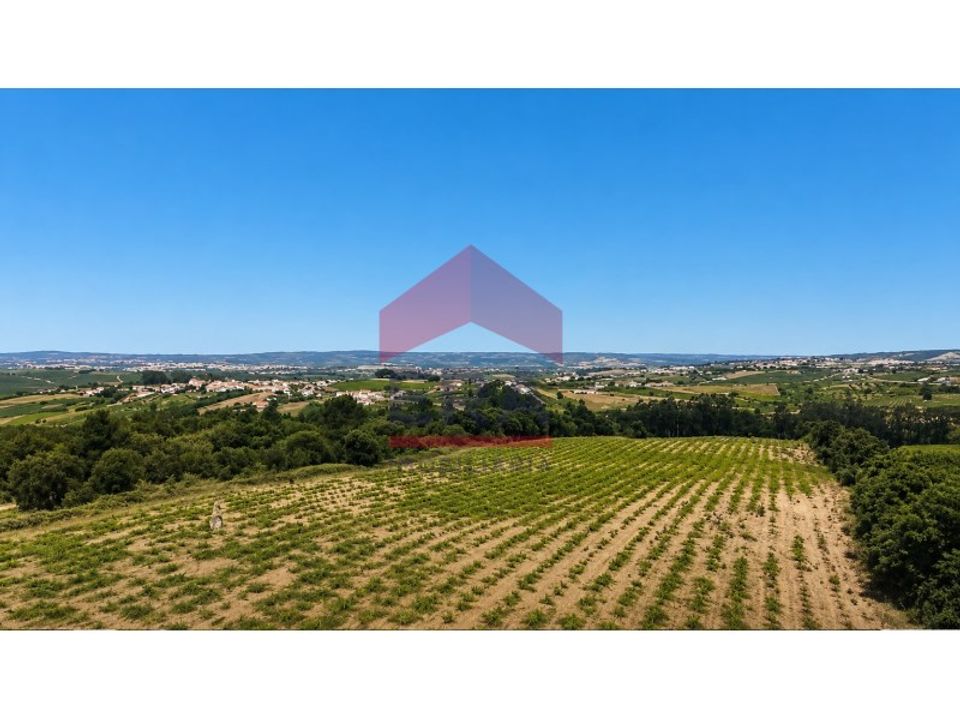 Helårsgrund i Carvalhal, Leiria - foto 2