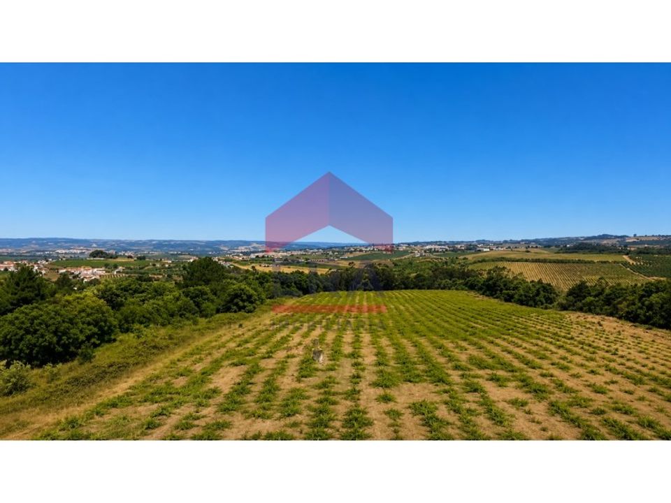Helårsgrund i Carvalhal, Leiria - foto 3