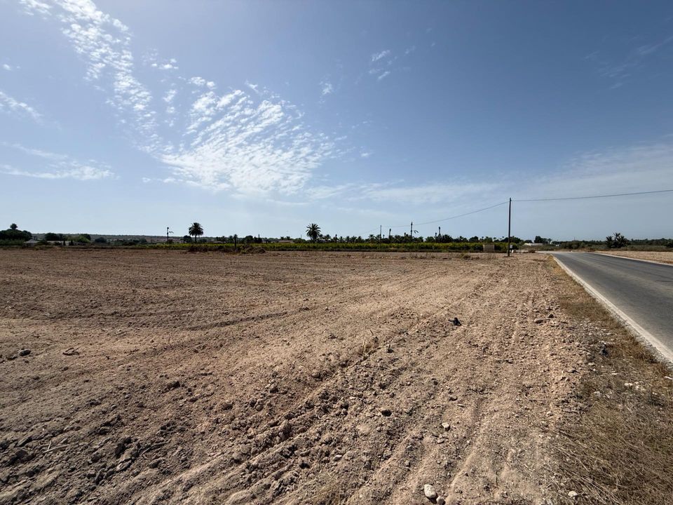 Tomt i Valverde Alto, Alicante - bilde 1