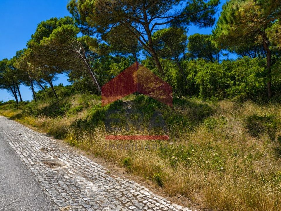 Terra a Vau, Leiria - foto 5