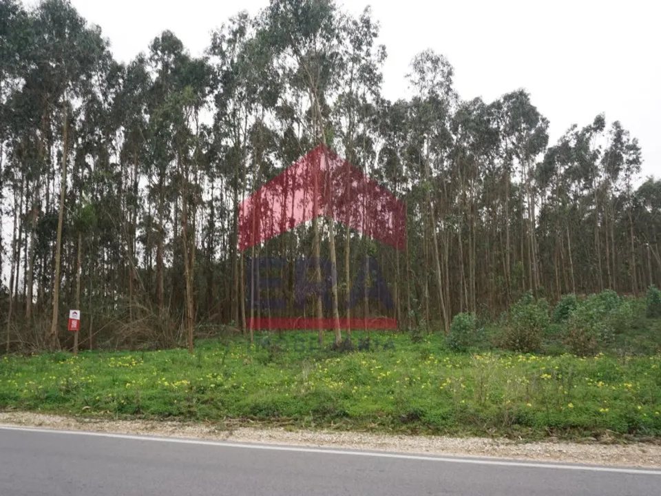 Helårsgrund i Atouguia da Baleia, Leiria - foto 1