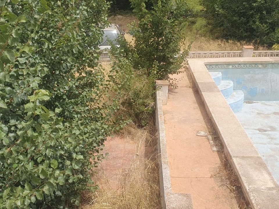Willa: Sax, Alicante – zdjęcie 2