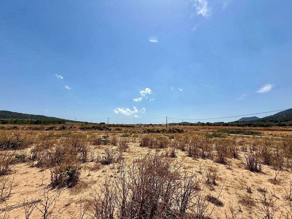 Helårsgrund i Salinas, Alicante - foto 1
