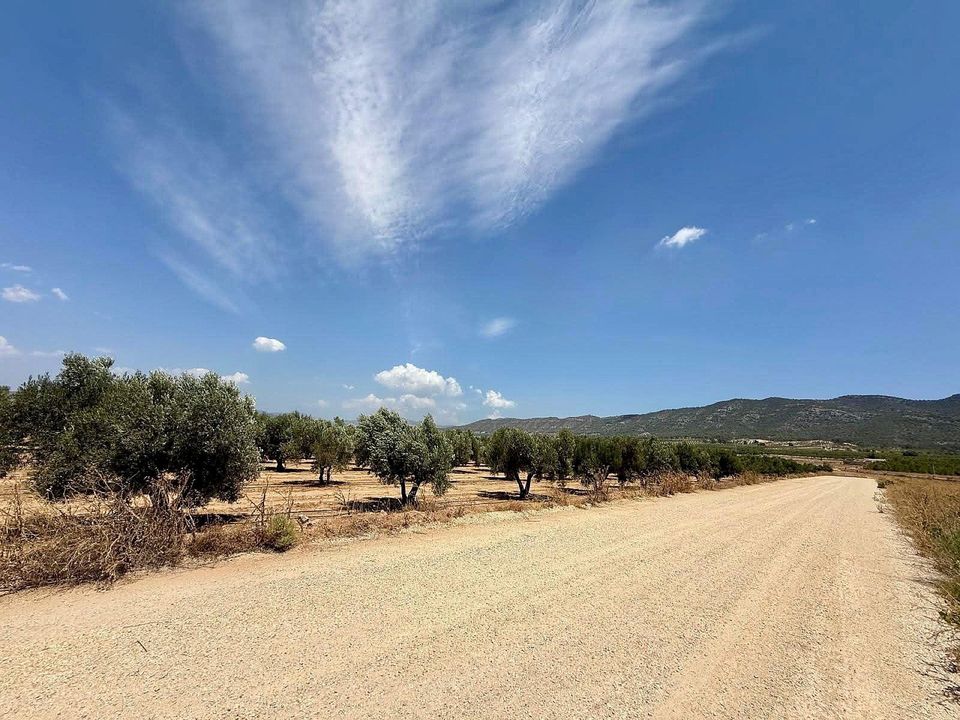 Helårsgrund i Salinas, Alicante - foto 3