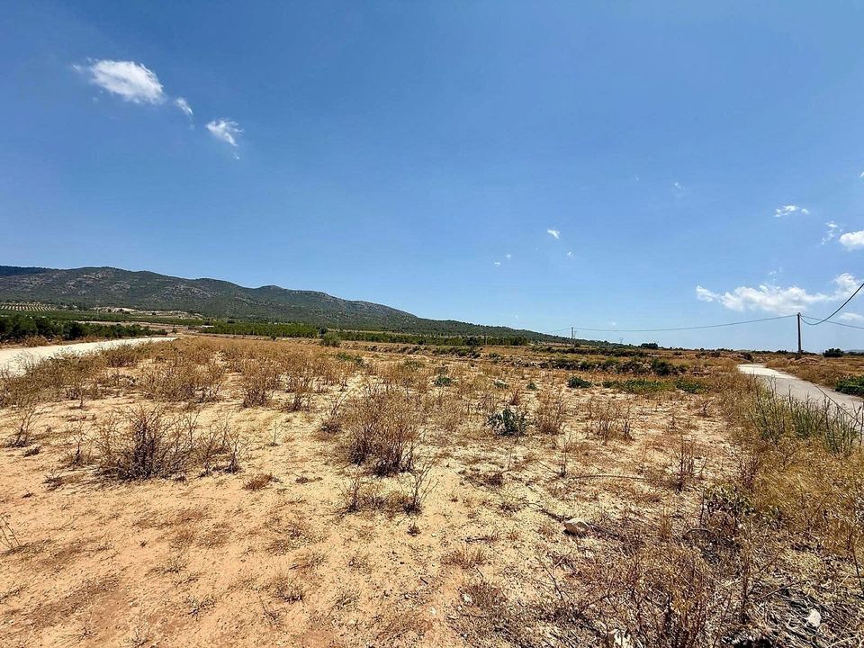 Helårsgrund i Salinas, Alicante - foto 4
