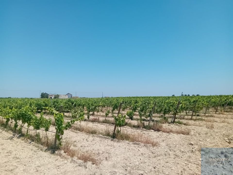 Terra em Montijo, Setubal - foto 1