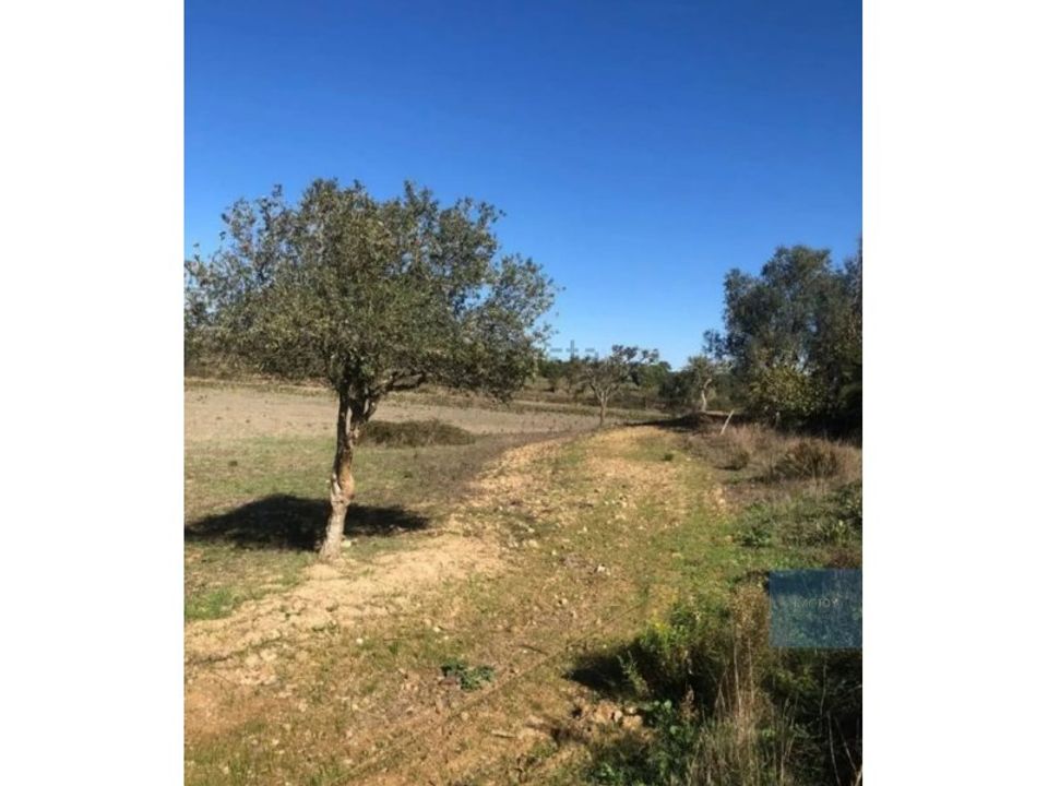 Grond in Cercal do Alentejo, Setubal - foto 5