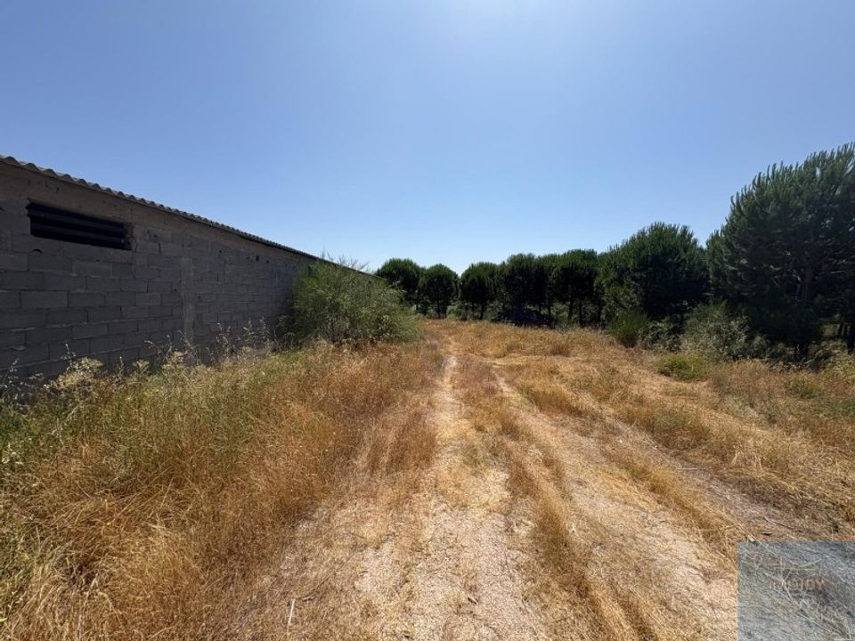 Działka: Castelo Branco, Castelo Branco – zdjęcie 3