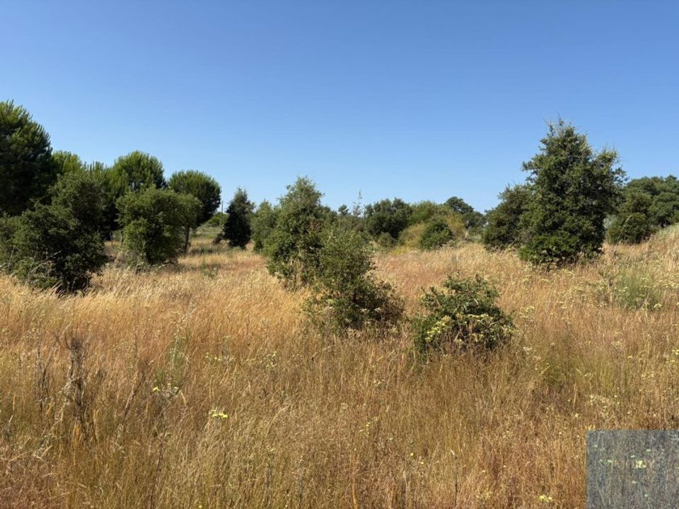 Działka: Castelo Branco, Castelo Branco – zdjęcie 4