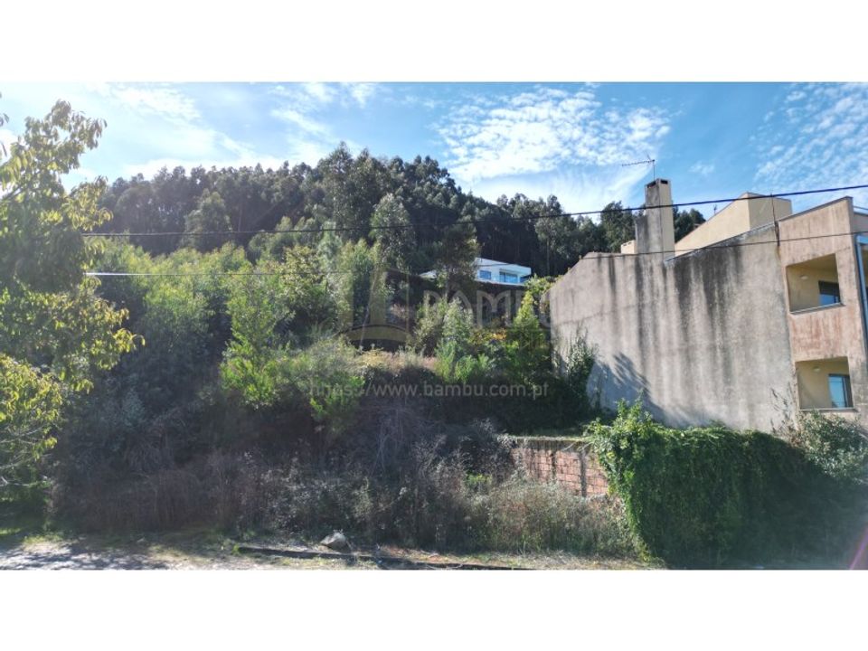 Terra a Caminha, Viana do Castelo - foto 2