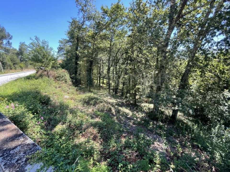 Grond in Venade e Azevedo, Viana do Castelo - foto 1
