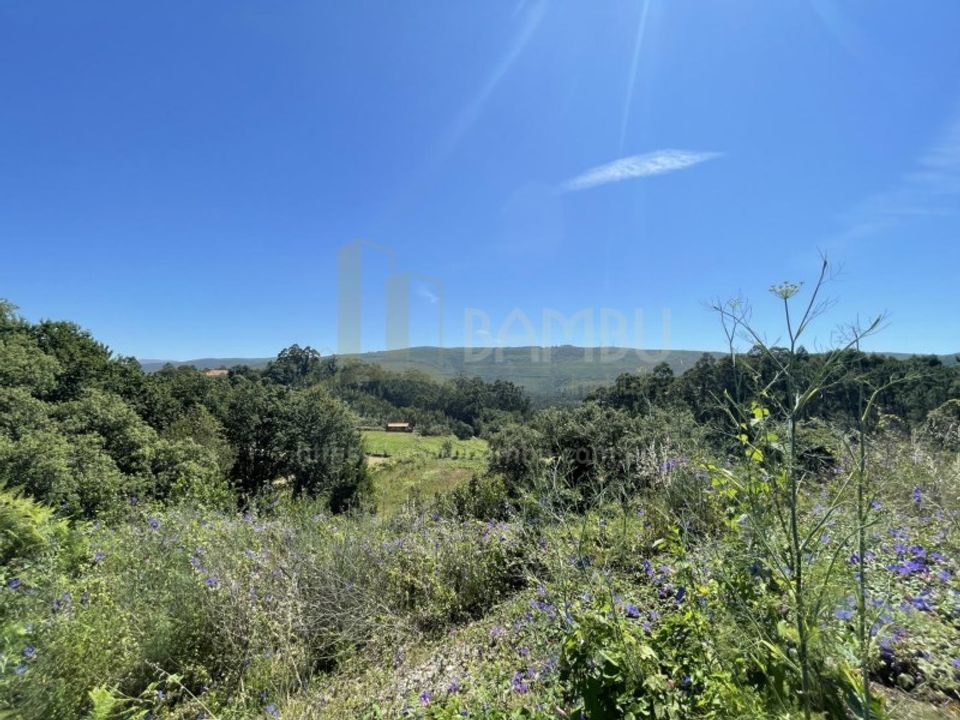 Grond in Venade e Azevedo, Viana do Castelo - foto 4