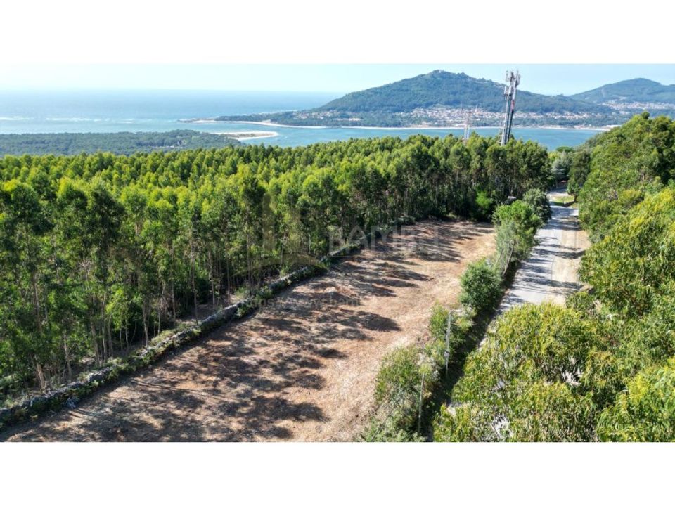 Terra a Caminha, Viana do Castelo - foto 1