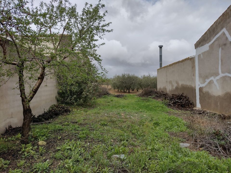 Helårsgrund i Pinoso, Alicante - foto 3