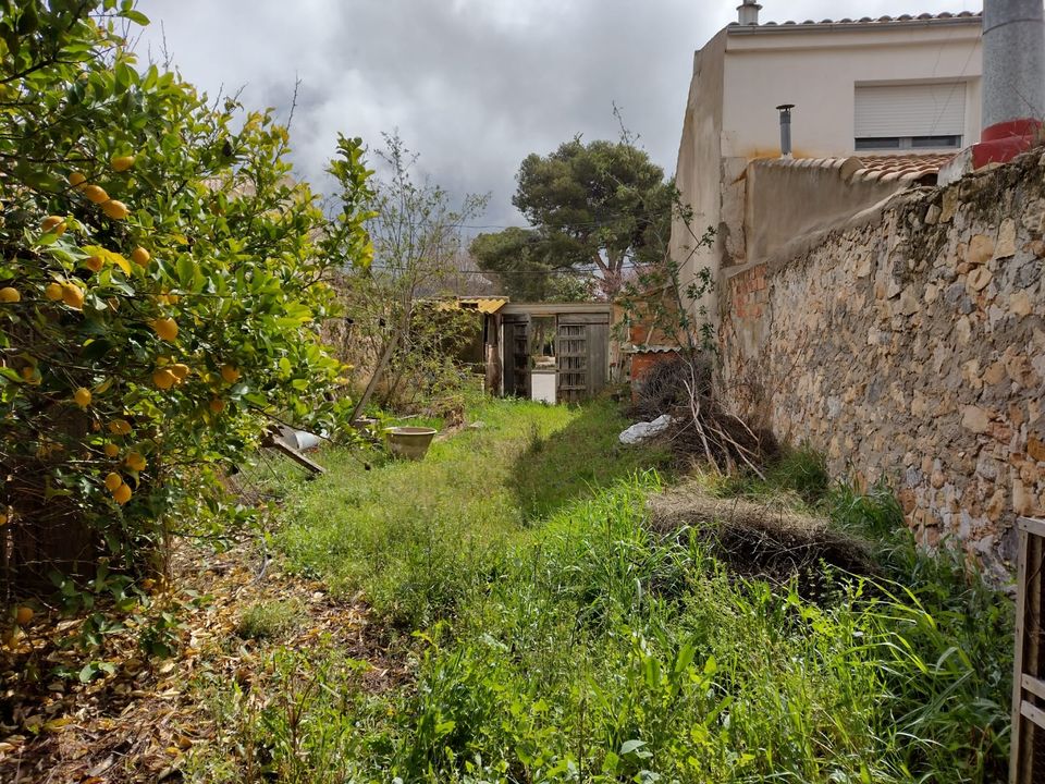 Helårsgrund i Pinoso, Alicante - foto 5