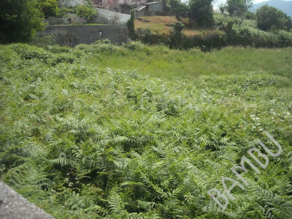 Terra em Valenca, Viana do Castelo - foto 4